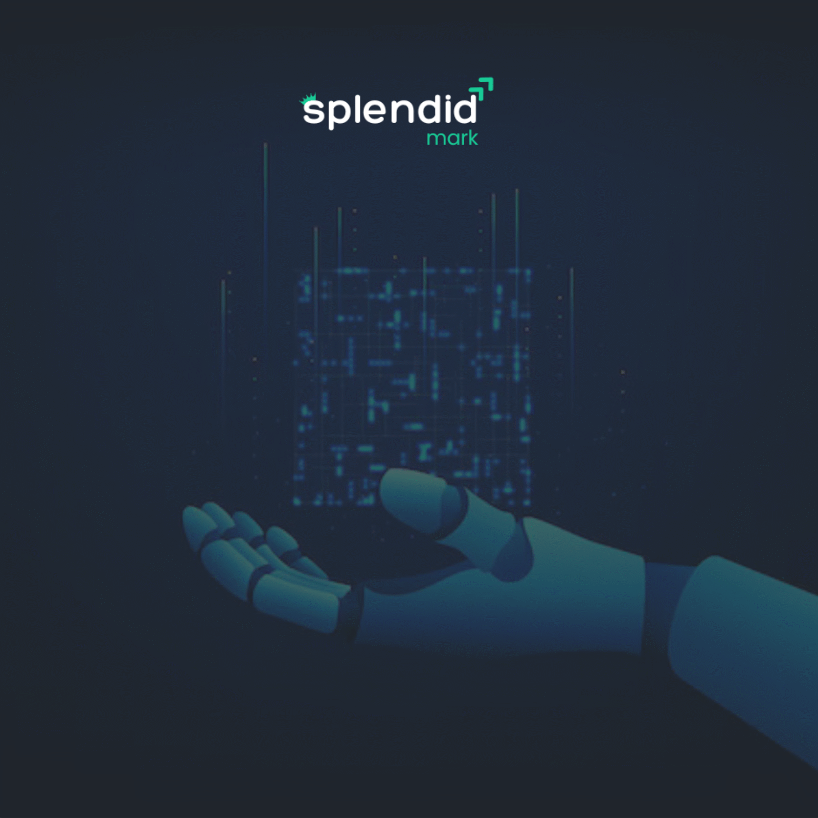 Can Automation in Software Development Cut Overhead Costs?